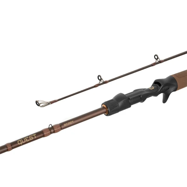 Delphin QUEST B´CAST