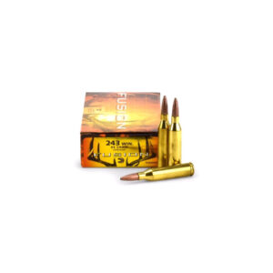 .243Win. Federal Fusion 95gr/6,16g SP (F243FS1)