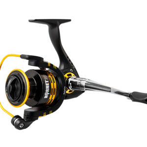 Delphin HORNET 20 / 3+1