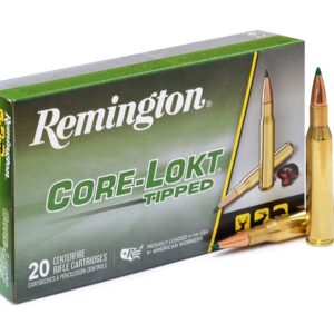 .30-06Spr. Remington Core-Lokt Tipped 180gr/11,66g (29037)