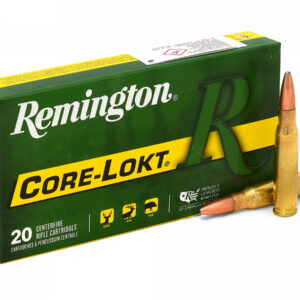 .308Win. Remington Core-Lokt 180gr/11,66g Pointed SP (21479)