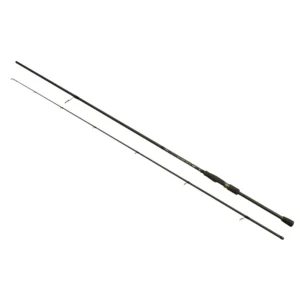Wizard Active Skill