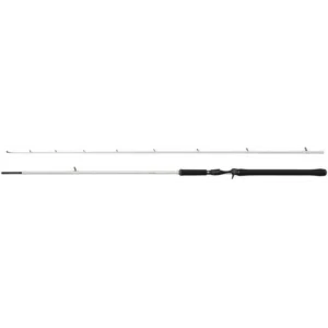Abu Garcia Prút Beast X Trolling Cast