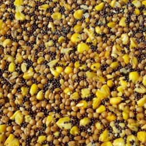 Poseidon Varený partikel 3Mix 3kg (Kukurica, tigrí orech,konope)