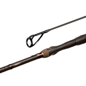 Delphin IMPALA Carp V3
300cm/2,75lbs/2diely