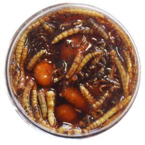 TB Baits Nakladaný Tigrí Orech XXL + Červ 150 ml-Bloodworm